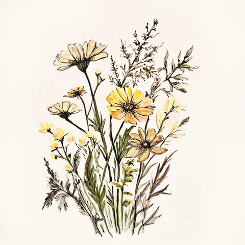 Gräser · gelbe Blüten (3C) Bild: Gräser · gelbe Blüten (3C)