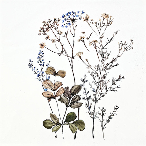 Gräser · blaue Blüten (1B) Bild: Gräser · blaue Blüten (1B)