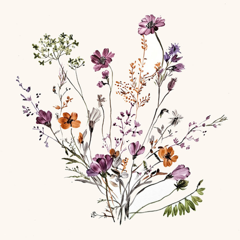 Gräser · bunte Blüten (4D) Bild: Gräser · bunte Blüten (4D)