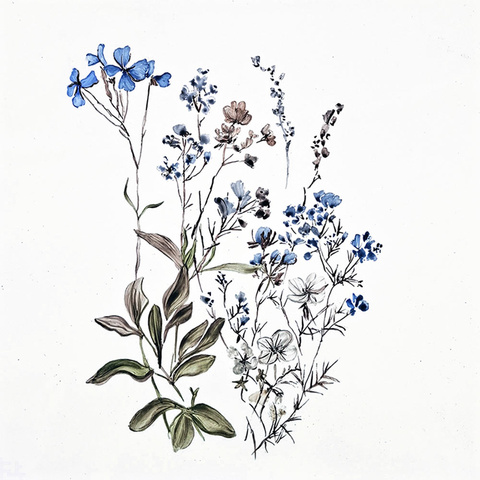 Gräser · blaue Blüten (1C) Bild: Gräser · blaue Blüten (1C)
