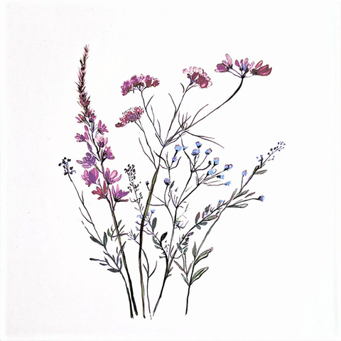 Gräser · lila Blüten (2A) Bild: Gräser · lila Blüten (2A)